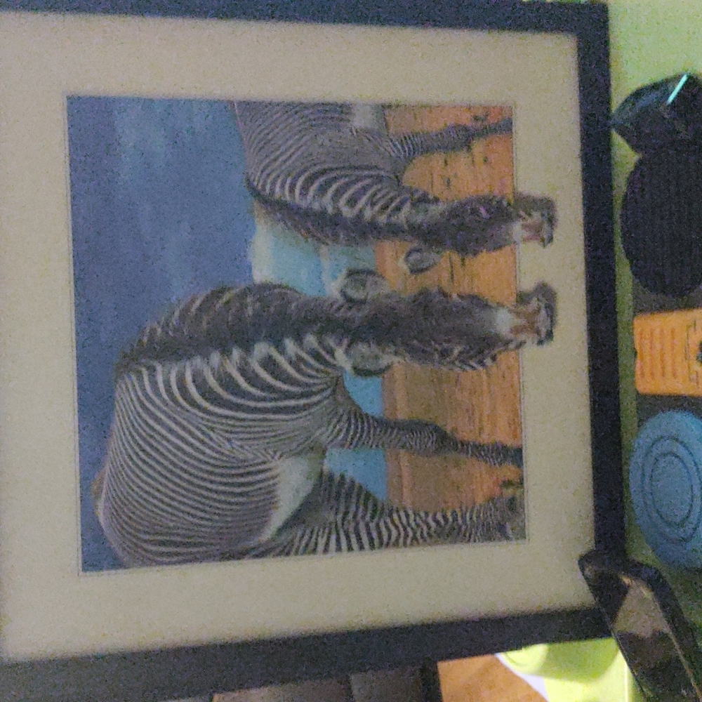 3d picture in frame